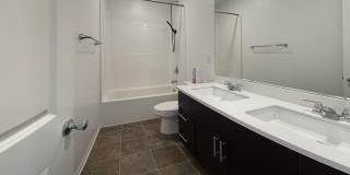 1685 Camellia St. 4 Bed 3 Bath Home in North Redlands Available Now! Gallery 18