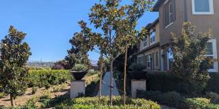 28740 Jardineras Drive - 1 Gallery 1