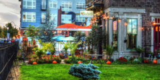 Phoenix Village Gallery 10