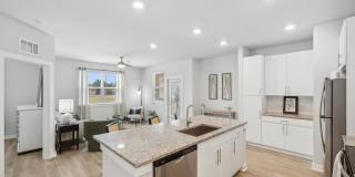 Ascend at Woodlands Gallery 86