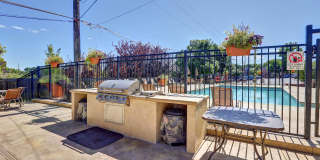 Edelweiss Apartments Gallery 3