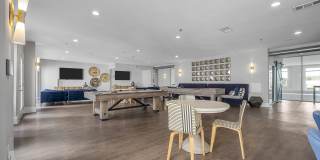 5 Mockingbird Gallery 19