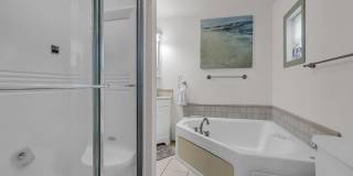 223 Harrison Avenue Gallery 18