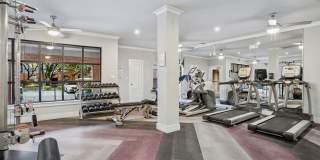 Carrara at Cole Gallery 20