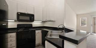 Elan Riverwalk Gallery 31