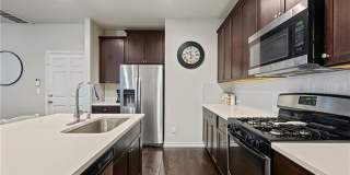 Newly Constructed, 4 BR / 3 BA Home - 2 Car Garage - Pool - Close to Mueller Gallery 6