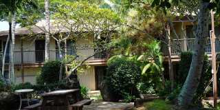 Coconut Inn Gallery 26