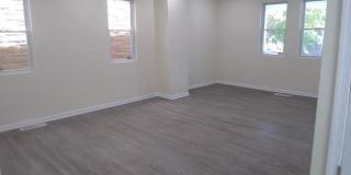 907 Rugby Street Gallery 25