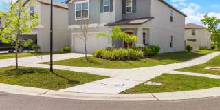 5256 White Chicory Drive Gallery 1