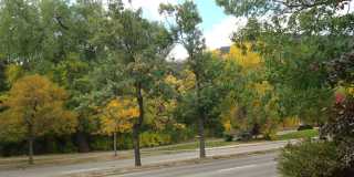 Furnished,  SHort-Mid term, All Inclusive one Bedroom /one bathroom with den, view of Flatirons block off Pearl, Gallery 20