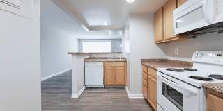 Renaissance Club Gallery 27