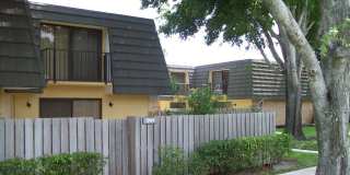 SANDALWOOD Gallery 1
