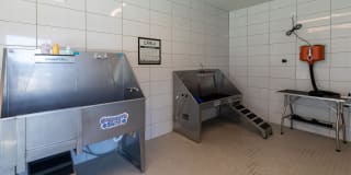 Cavalli at Iron Horse Station Gallery 26