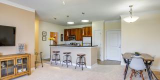 The Carlton at Greenbrier Gallery 20