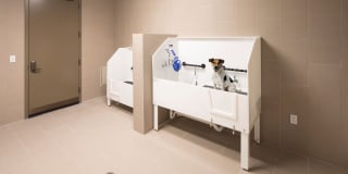 The Residences at Annapolis Junction Gallery 49