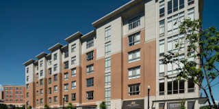 Park South Gallery 8