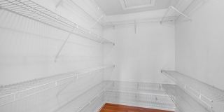77 Williamson Ct Gallery 17