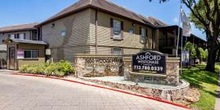 Ashford Westchase Gallery 51