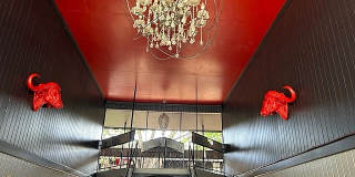 Raleigh Raleigh Gallery 7