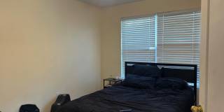 95 ROOSEVELT Boulevard Gallery 23