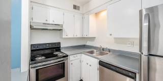 The Chestnut Gallery 7