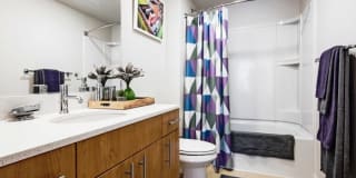Soren Apartments Gallery 4