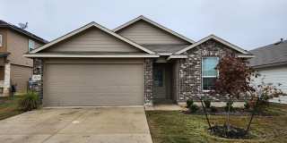 13229 Needle Grass Gallery 1
