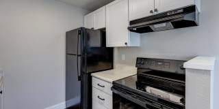 Avana Star Lake Gallery 46