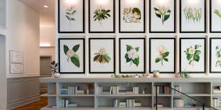 Beckert's Park Gallery 31