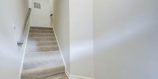 3012 CARDINAL BLUFF Court Gallery 2