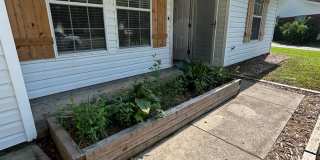 3b/2b in the heart of Springfield $1,700 Gallery 5