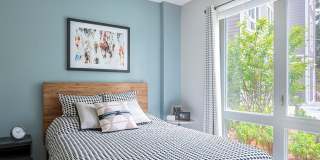 Velo Forest Hills Gallery 3