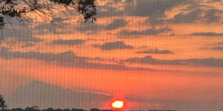 28 Alcira Court - 1 Gallery 18