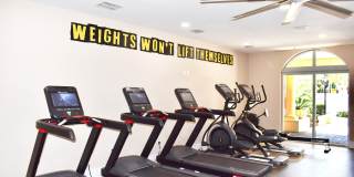 Colony at Dadeland Gallery 11