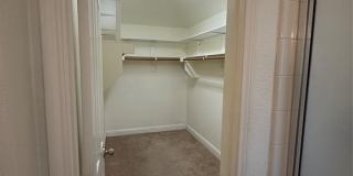 3101 Spanish Oak Trail Gallery 12