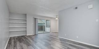 The Borough Gallery 15