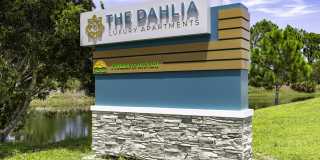 The Dahlia Gallery 28