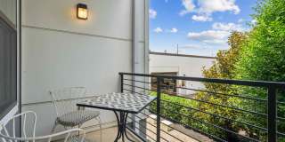 The Patton Gallery 14