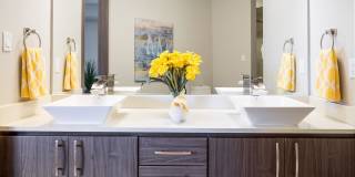 Yacht Harbor Club Gallery 31