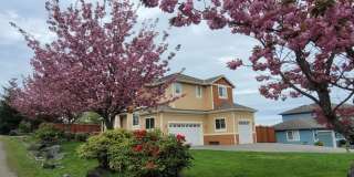 UPDATED CHAFFEY 4 BEDROOOM KINGSTON HOME FOR RENT WITH GREAT VIEWS! Gallery 1
