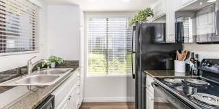 Mosaic Apartment Homes Gallery 15