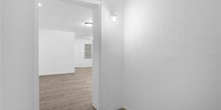 516 PITT STREET Gallery 7