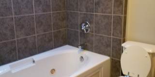 Great 3 bed 2 bath home!! AVAILABLE AUGUST 2027! Gallery 14
