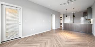 Olympus Alameda Gallery 4