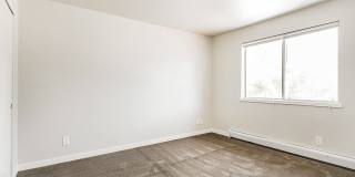 701 (384) Gallery 19