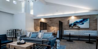 Montierra Gallery 19