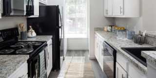 Canyon Park Gallery 5