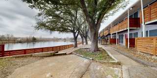 Lake Breeze Gallery 4