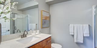 Harrington Square Gallery 10