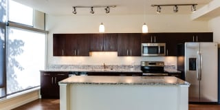 The Matisse Gallery 14